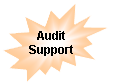 Explosion 2: Audit Support