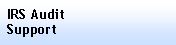 Text Box: IRS AuditSupport