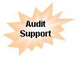 Explosion 2: Audit Support