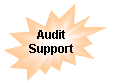 Explosion 2: Audit Support